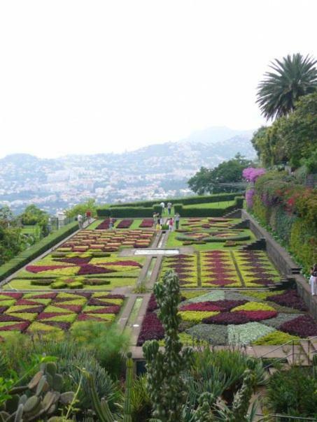 Apartamentos Jardim Funchal  Luaran gambar