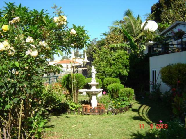 Apartamentos Jardim Funchal  Luaran gambar