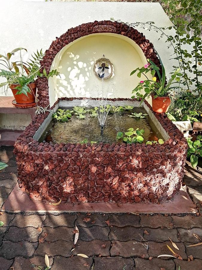 Apartamentos Jardim Funchal  Luaran gambar
